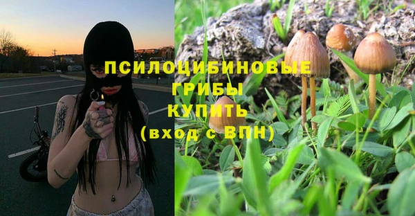 ГАЛЛЮЦИНОГЕННЫЕ ГРИБЫ Беломорск