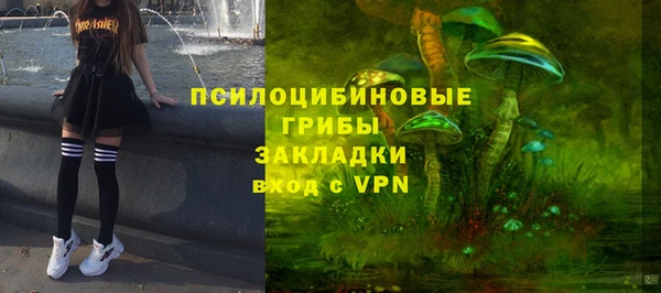 ГАЛЛЮЦИНОГЕННЫЕ ГРИБЫ Беломорск