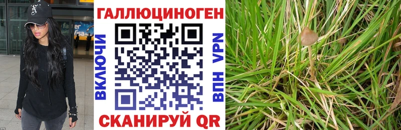 Галлюциногенные грибы GOLDEN TEACHER Вяземский