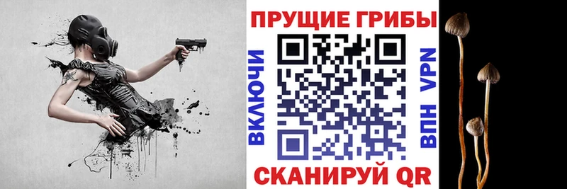 Галлюциногенные грибы мухоморы  Вяземский 